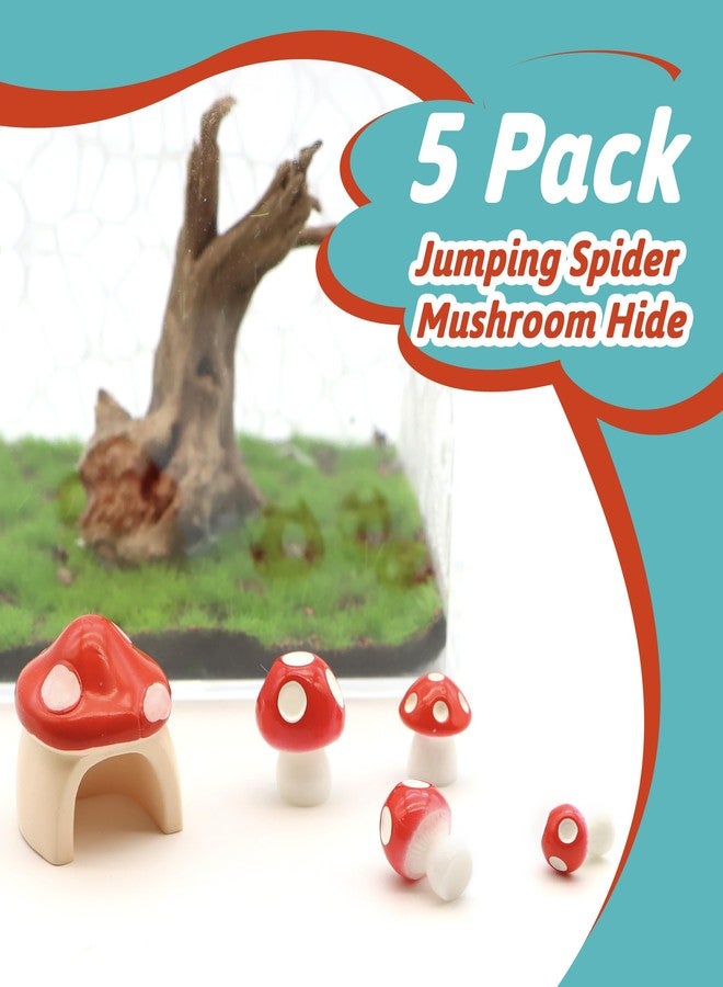 LUTQ 5 Pack Jumping Spider Habitat Decor with Mushroom Hide - Resin Spider Accessories and Enclosure Accessories - Image 2